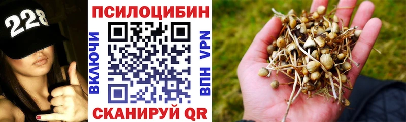 Галлюциногенные грибы мицелий  где купить наркоту  Саки 