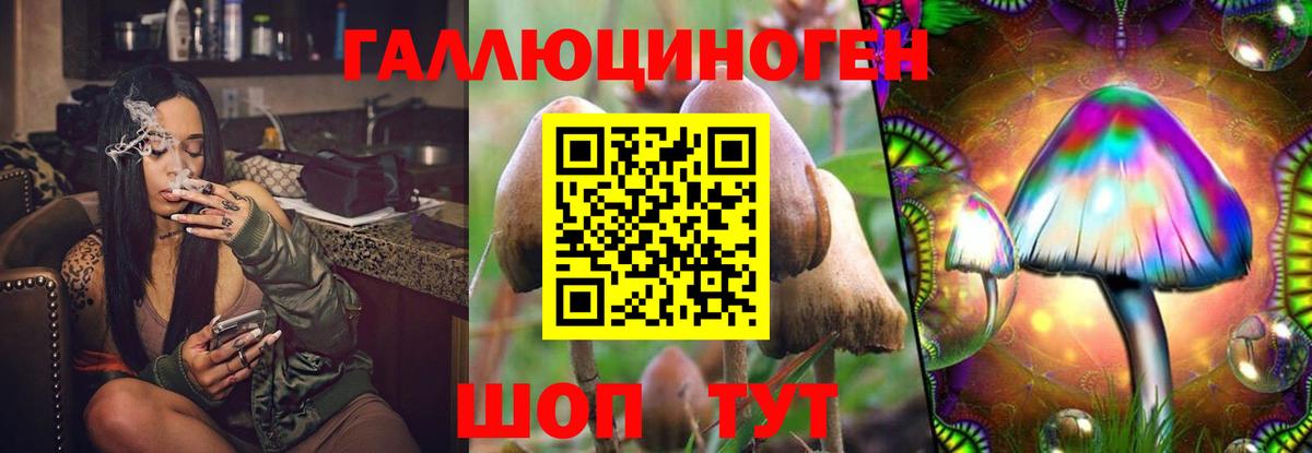 Галлюциногенные грибы прущие грибы  Вход с VPN  Саки  Галлюциногенные грибы Cubensis 