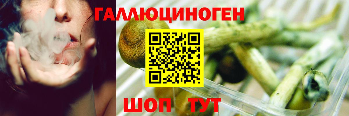 Галлюциногенные грибы Psilocybine cubensis Саки